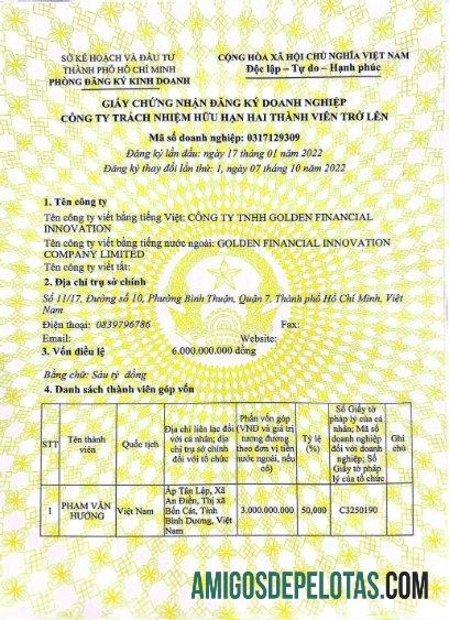 Vietnam Company Register Entry Certificate modelo